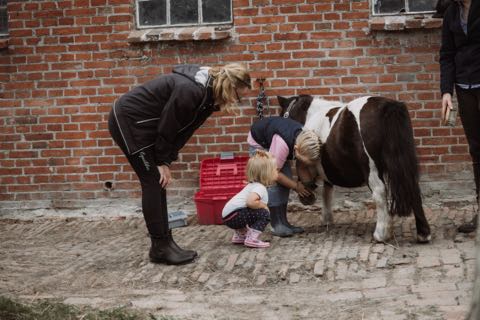 Reiten Spiegelhaus-FeWo-68282